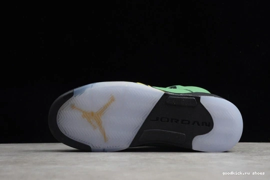 5 RETRO JORDAN CK6631-307 OREGON SE CK6631-307 AIR 0403